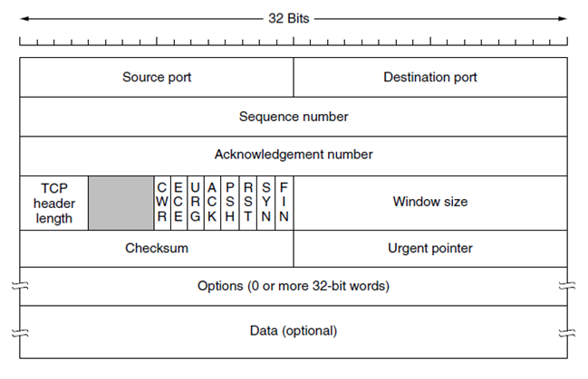 TCP Header